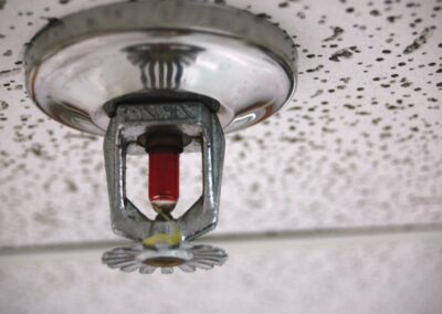 How often should my fire sprinklers be inspected?